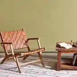 Resim PAOLA BERJER