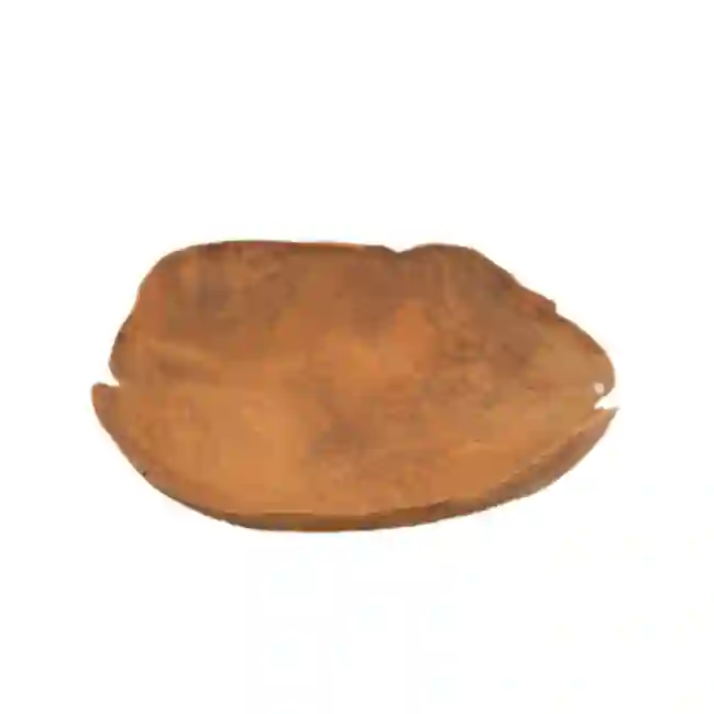 Resim BÜYÜK NİLÜFER TEAK TABAK