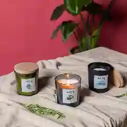 Resim TURQUOISE MIRAGE TIPALI SOYA MUM