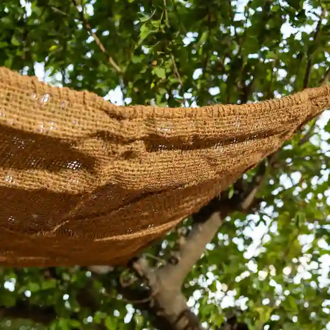 Resim OASIS TENTE 5X3
